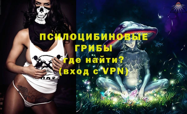прущие крисы Ельня