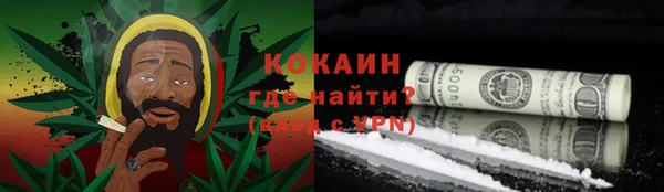 прущие крисы Ельня