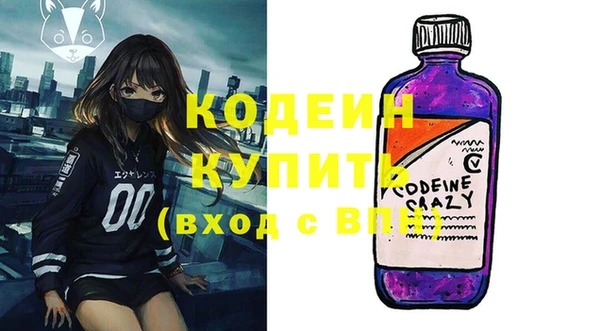 прущие крисы Ельня