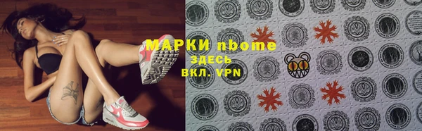 прущие крисы Ельня
