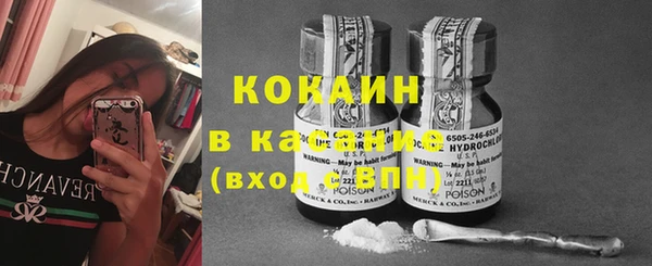 прущие крисы Ельня