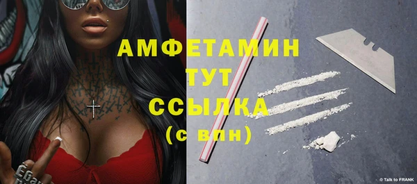 прущие крисы Ельня